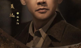 电视剧官,权谋与忠诚的较量