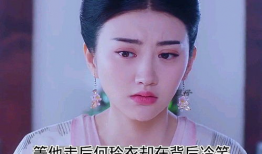 沈珍珠电视剧,宫廷爱恨与家国风云