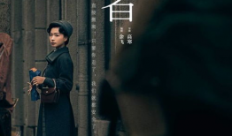 电视剧潜行者,暗夜猎影，生死较量