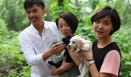 王洋演的电视剧,情感纠葛与成长蜕变