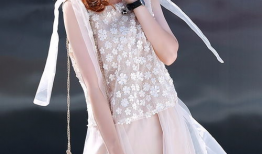 麻豆裙,引领潮流的时尚单品解析