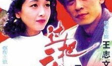 90年电视剧,90年代经典电视剧回顾