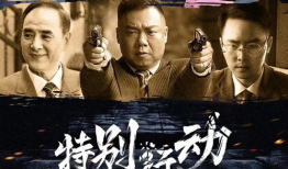 特别行动电视剧,卧底风云