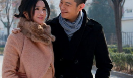 电视剧岳母的幸福生活,温馨家庭喜剧的温馨篇章