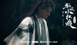 电视剧狐,穿越时空的奇幻传奇