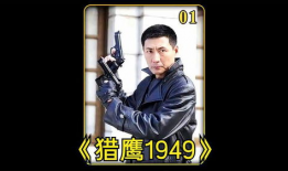 电视剧猎鹰1949,烽火岁月中的忠诚与信仰