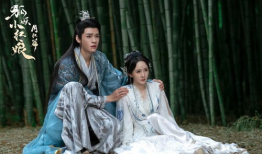 电视剧狐,穿越时空的奇幻传奇