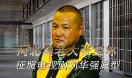 刘华强电视剧,逆袭之路，从底层奋斗到巅峰