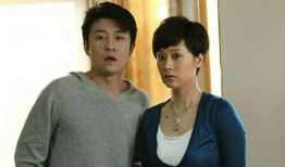 媳妇电视剧,家庭温馨与情感纠葛的交织画卷