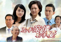 左手亲情右手爱 电视剧,温情演绎家庭情感纠葛