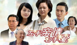左手亲情右手爱 电视剧,温情演绎家庭情感纠葛