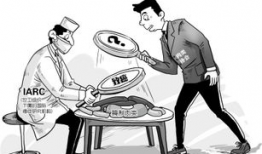 全肉漫画,肉香四溢的奇幻冒险之旅