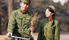 幸福像花儿一样电视剧,电视剧情感之旅