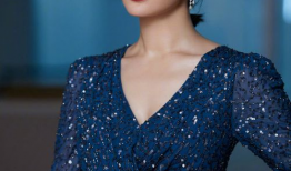 陈数演的电视剧,电视剧魅力再现