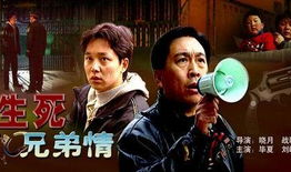 兄弟情电视剧,共度风雨的挚友情谊