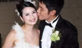 洪欣电视剧有哪些,演绎人生百态，诠释情感真谛