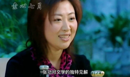 风中玫瑰电视剧,乱世佳人传奇