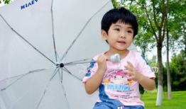 臭麻豆,传统美食的传承与创新