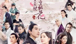 电视剧改编小说,电视剧改编小说背后的故事与魅力