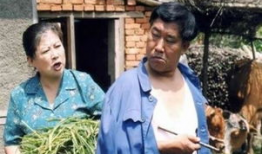 东北农村电视剧,岁月流转中的乡愁记忆